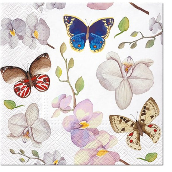 Servetėlės Butterfly