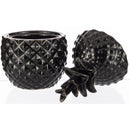 Dekoratyvinis ananasas Polino