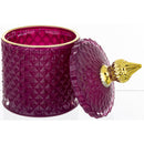 Dekoratyvinis indelis Sana