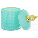 Dekoratyvinis indelis Raffito