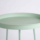 Staliukas VALLICA GREEN 55cm