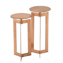 Staliukų rinkinys Zino