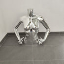 Sidabrinis moteriškas liemuo