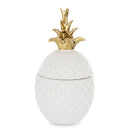 Dekoratyvinis ananasas Grado