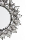 Veidrodis Rig