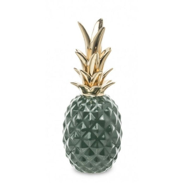 Dekoratyvinis ananasas II