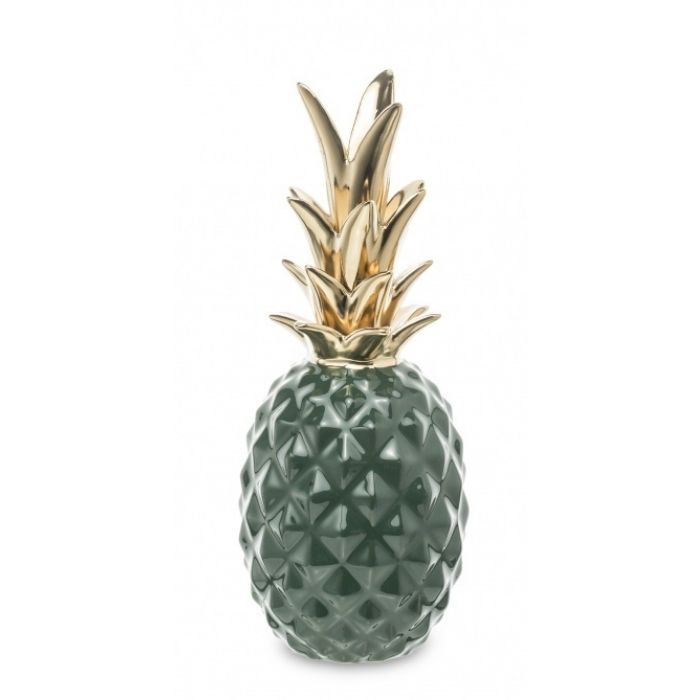 Dekoratyvinis ananasas II
