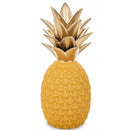 Oranžinis dekoratyvinis ananasas II