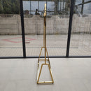 auksine metaline kabykla