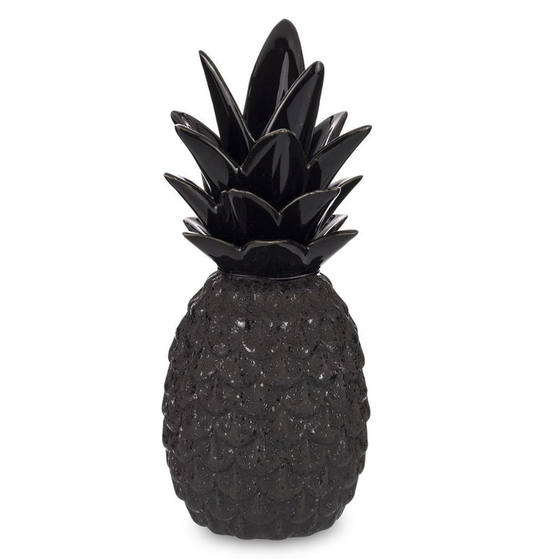 Juodas dekoratyvinis ananasas Conti