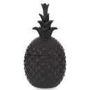 Dekoratyvinis ananasas Fondi